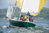 oystercatcher 3245c whyw16 sun 800 1682w